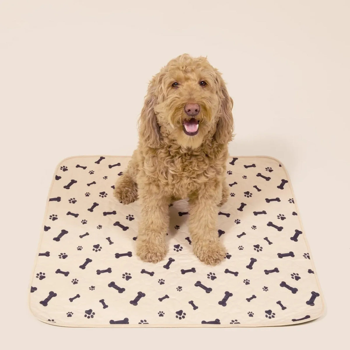 Premium Reusable Dog Pad - Pheromone Infused