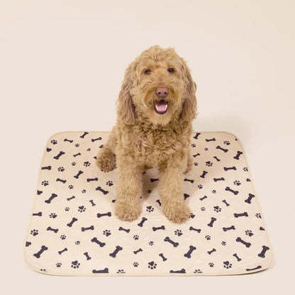 Premium Reusable Dog Pad - Pheromone Infused