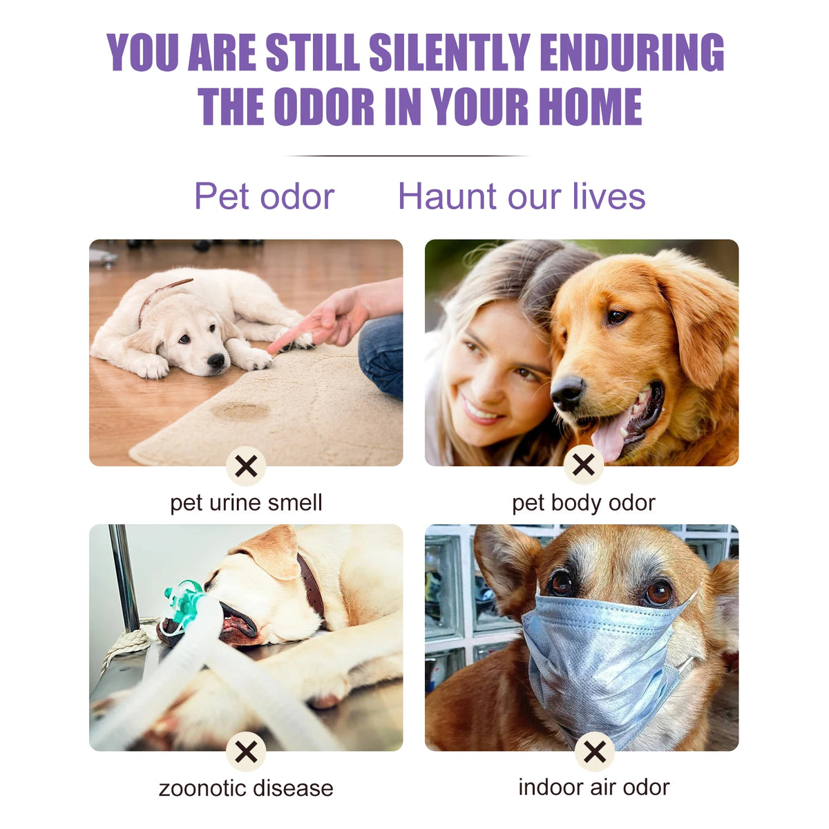 Molecular Pet Odor Neutralizing Mist