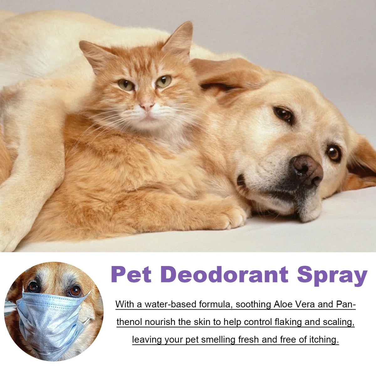 Molecular Pet Odor Neutralizing Mist