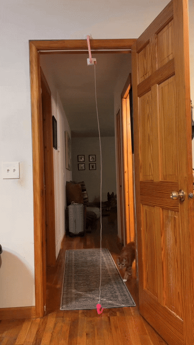 Interactive Calming Cat Toy