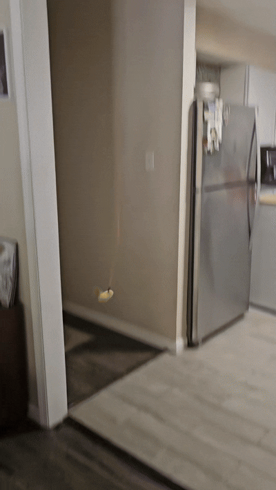 Interactive Calming Cat Toy