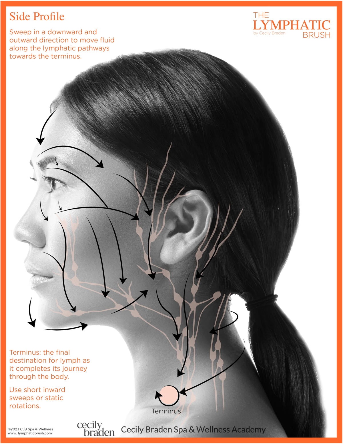 Lymphatic Contour Face Brush