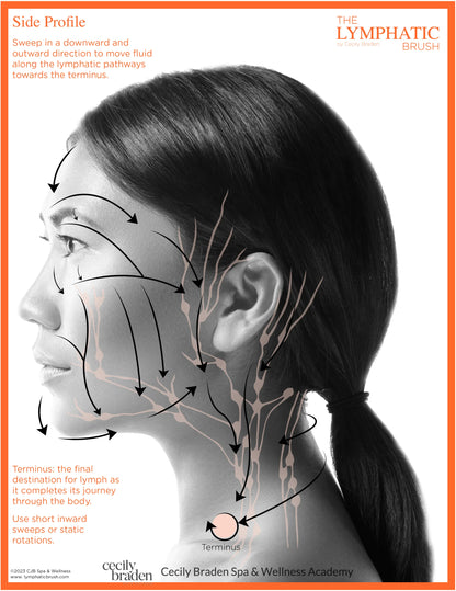 Lymphatic Contour Face Brush